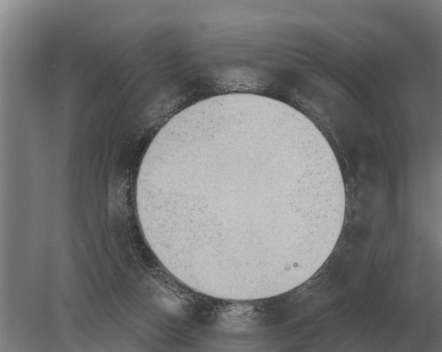 X0000080200162200701051758