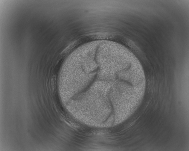 X0000080200165200701051758