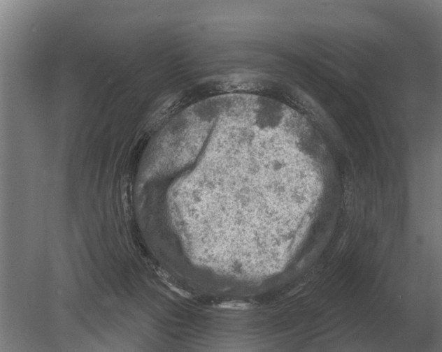 X0000080200169200701051758