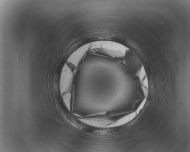 X0000080200170200701051758