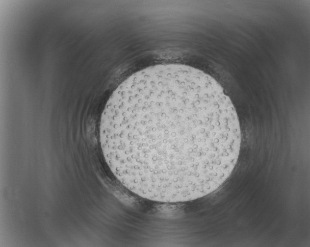 X0000080200187200701051758