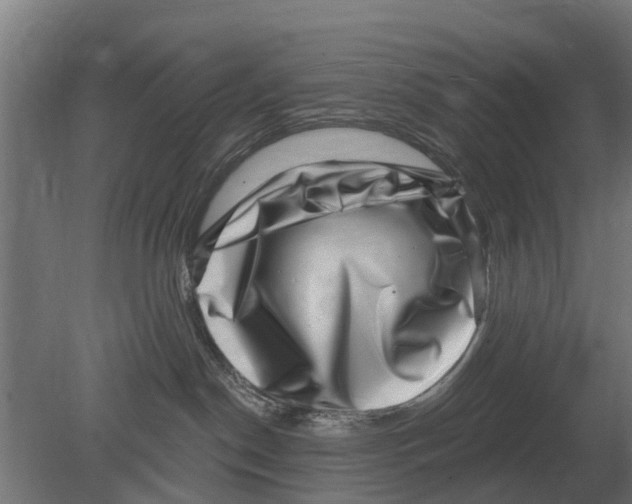 X0000080200190200701051758