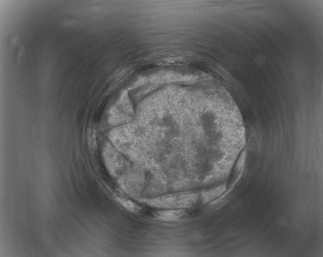 X0000080200191200701051758