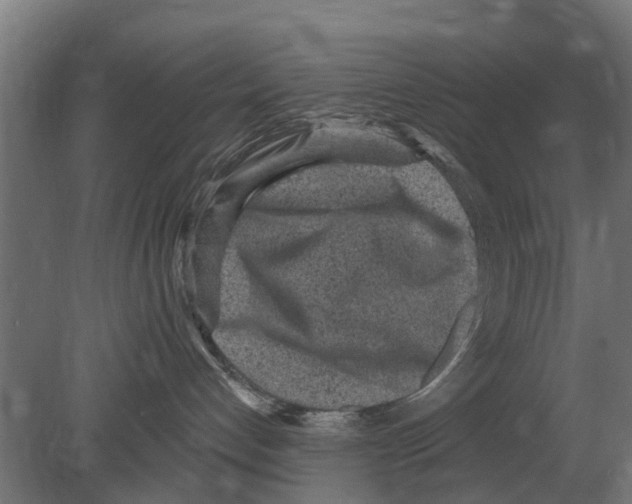 X0000080200192200701051758