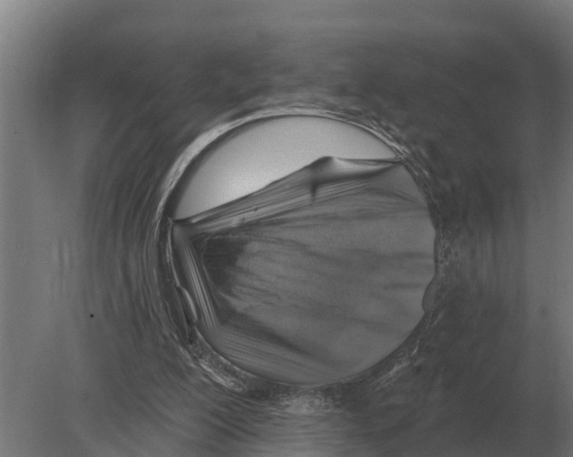 X0000080200200200701051757