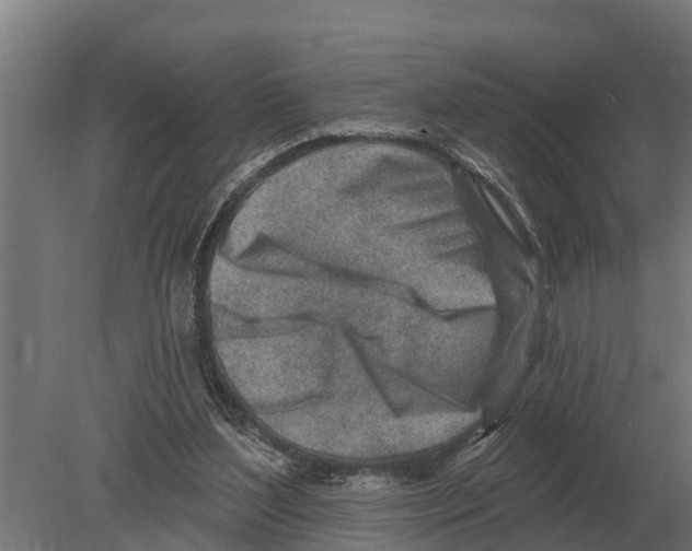 X0000080200204200701051757