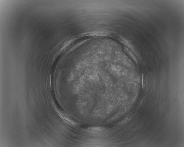 X0000080200205200701051757