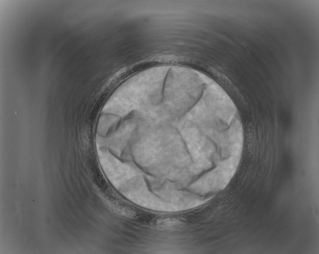 X0000080200208200701051757