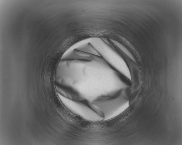 X0000080200209200701051757