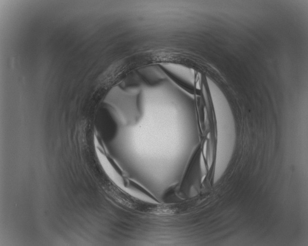 X0000080200217200701051757