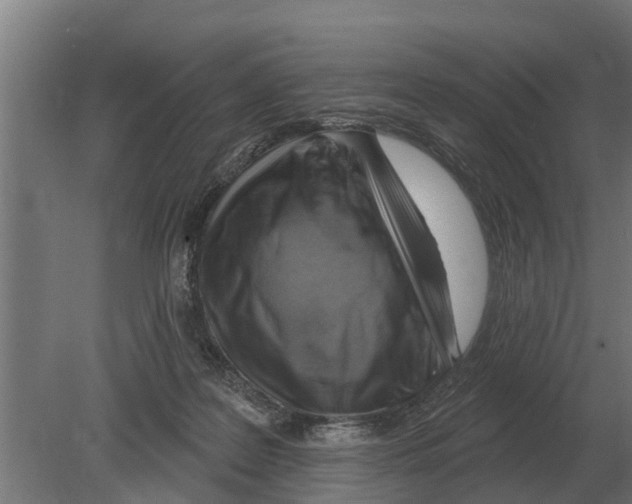 X0000080200219200701051757