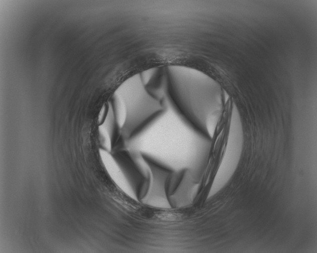 X0000080200221200701051757