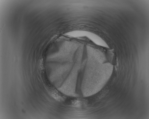 X0000080200224200701051757