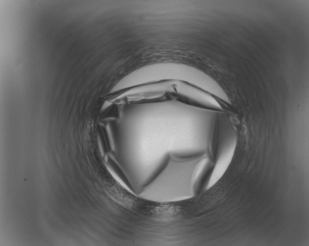 X0000080200225200701051757