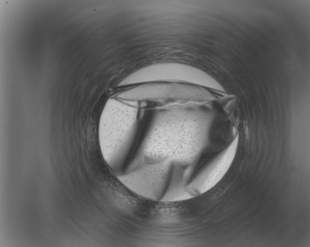 X0000080200228200701051757