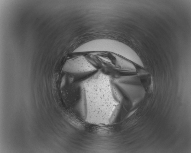 X0000080200229200701051757