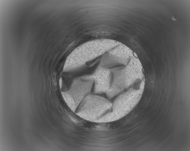 X0000080200232200701051757