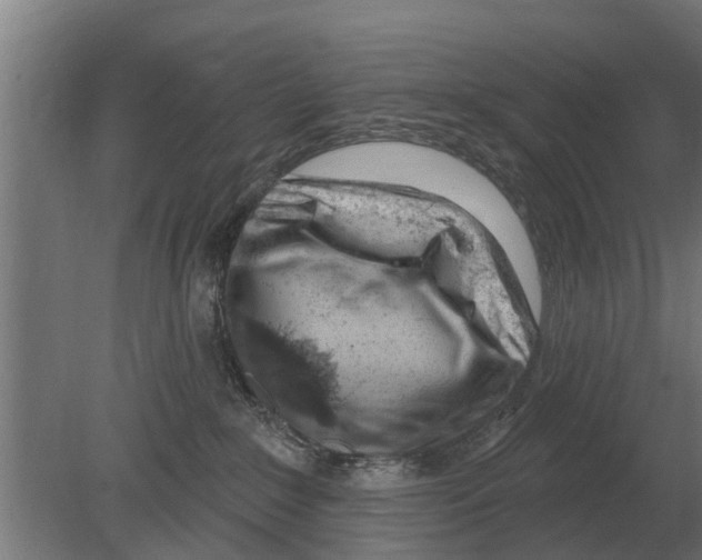 X0000080200235200701051757