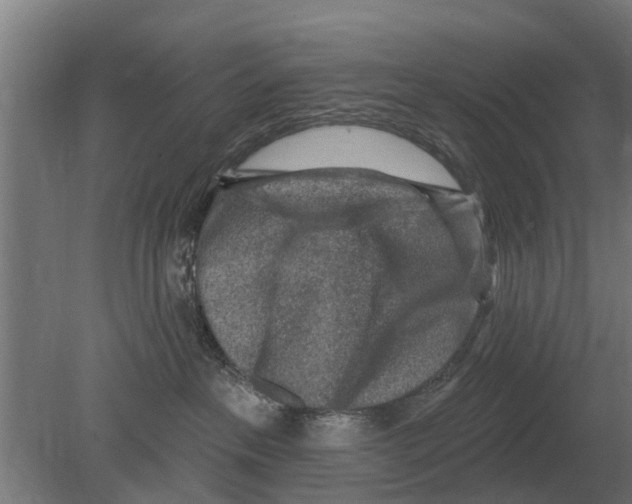 X0000080200237200701051757