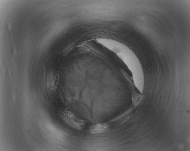 X0000080200239200701051757