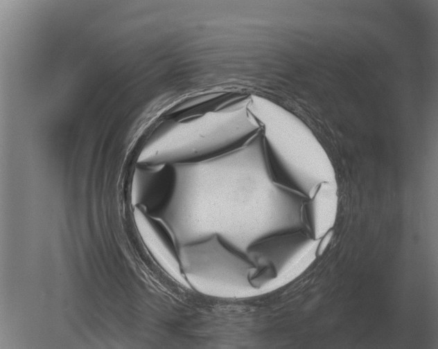 X0000080200242200701051756