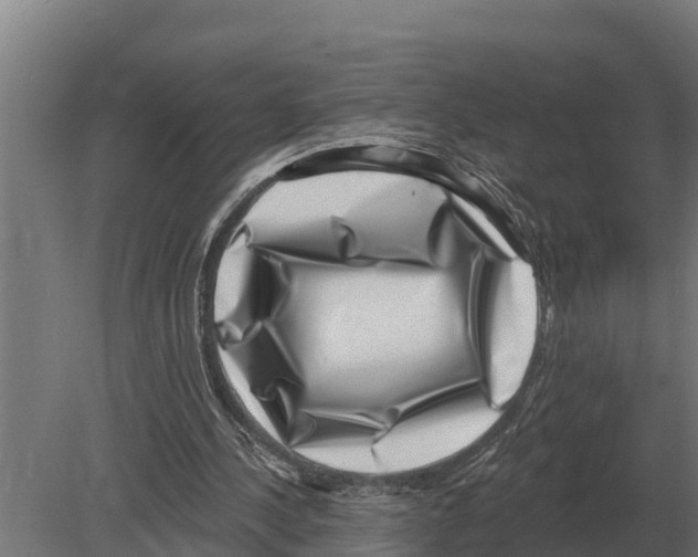 X0000080200244200701051756