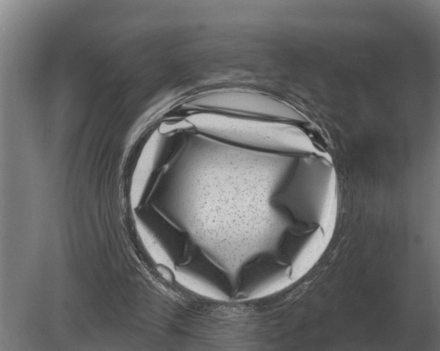 X0000080200245200701051756