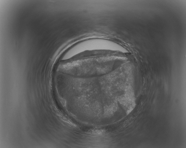 X0000080200247200701051756