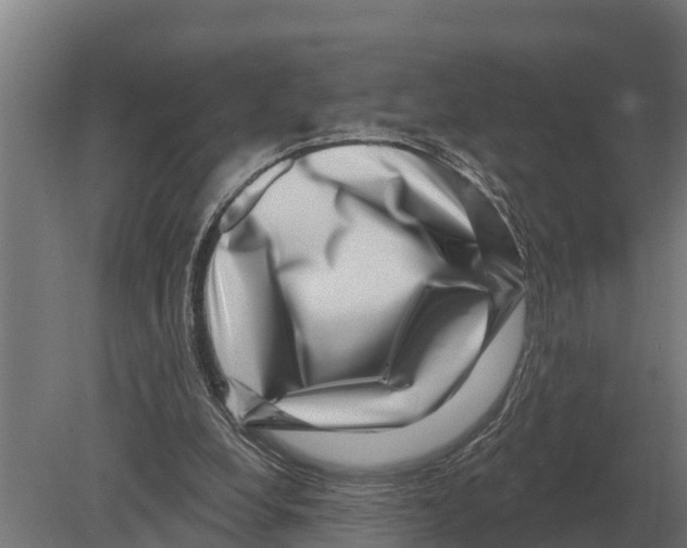 X0000080200248200701051756