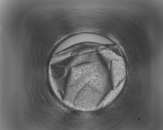 X0000080200249200701051756