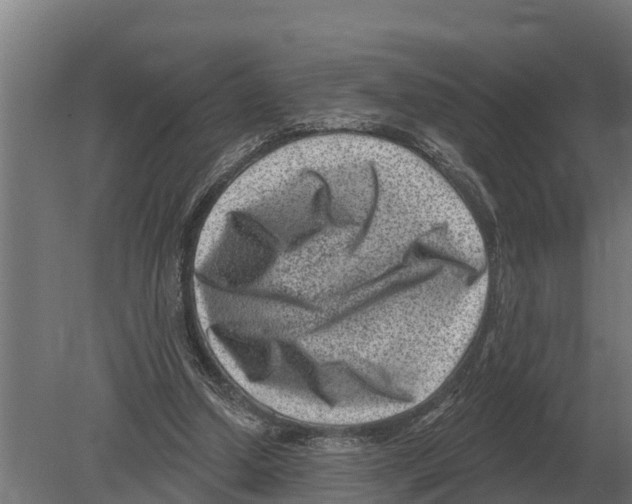 X0000080200250200701051756