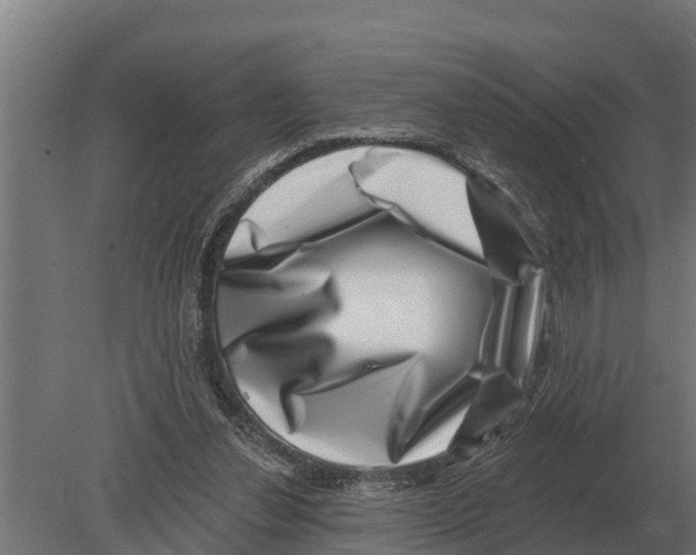 X0000080200252200701051756