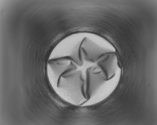 X0000080200253200701051756