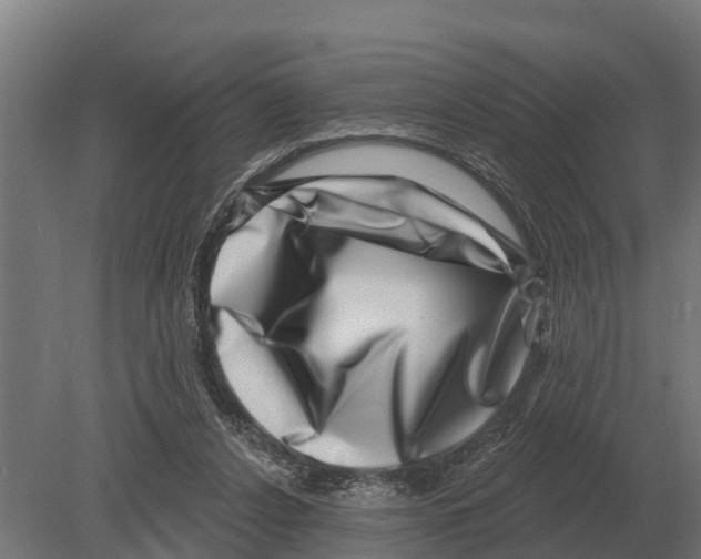 X0000080200256200701051756