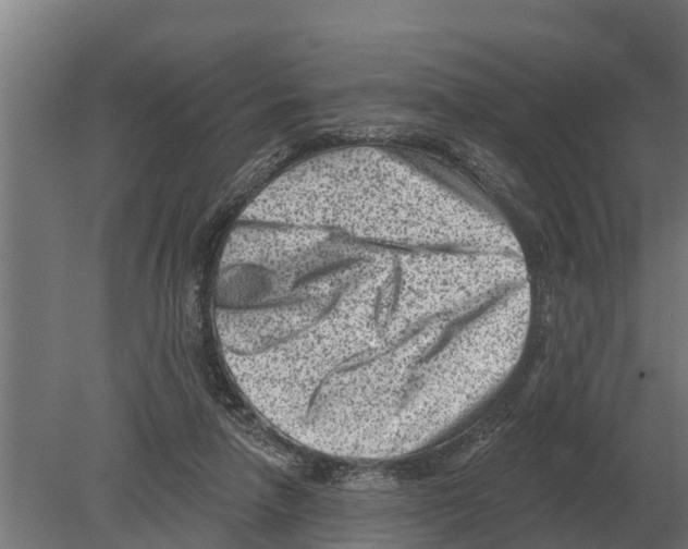 X0000080200258200701051756