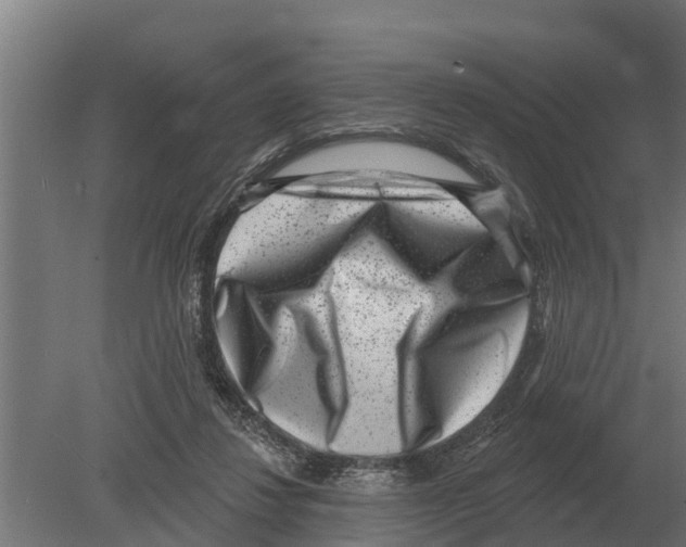 X0000080200260200701051756