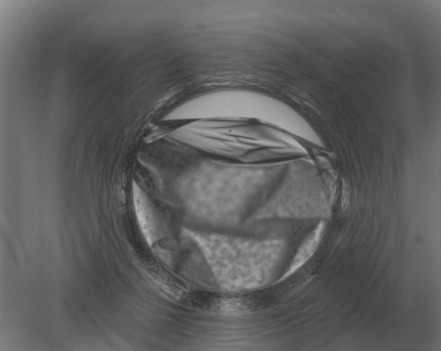 X0000080200264200701051756