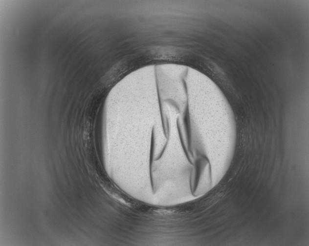 X0000080200265200701051756