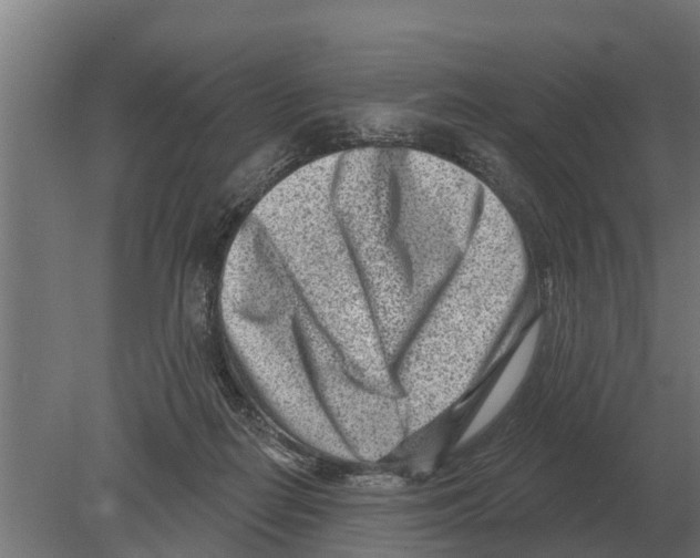 X0000080200266200701051756