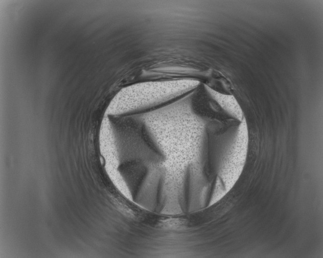 X0000080200269200701051756