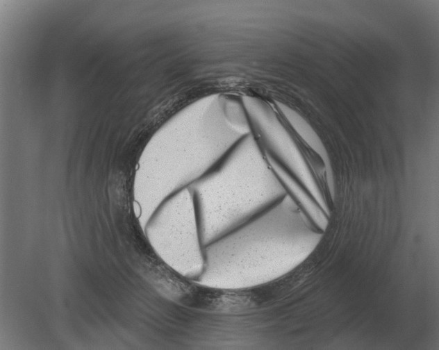 X0000080200270200701051756