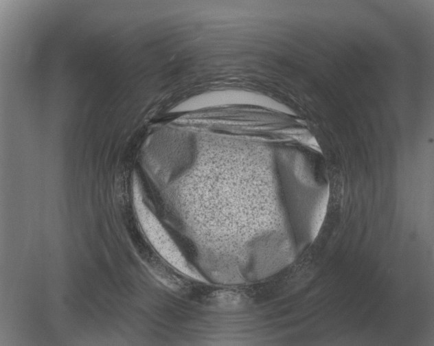 X0000080200272200701051756