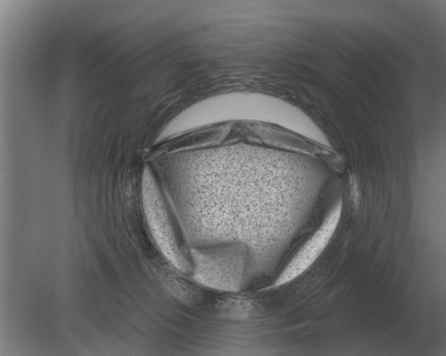 X0000080200276200701051756