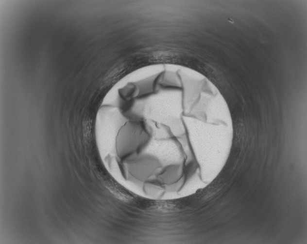 X0000080200278200701051756