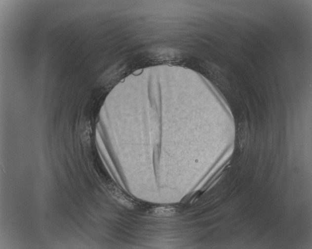 X0000080200279200701051756