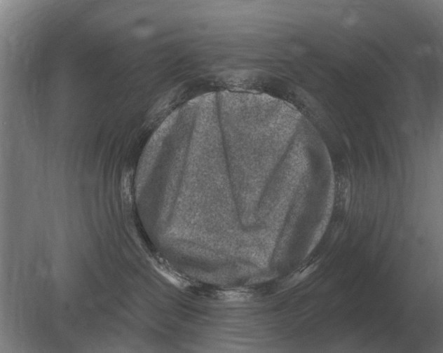 X0000080200286200701051757