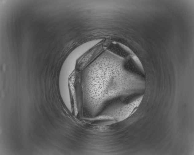 X0000080200288200701051757