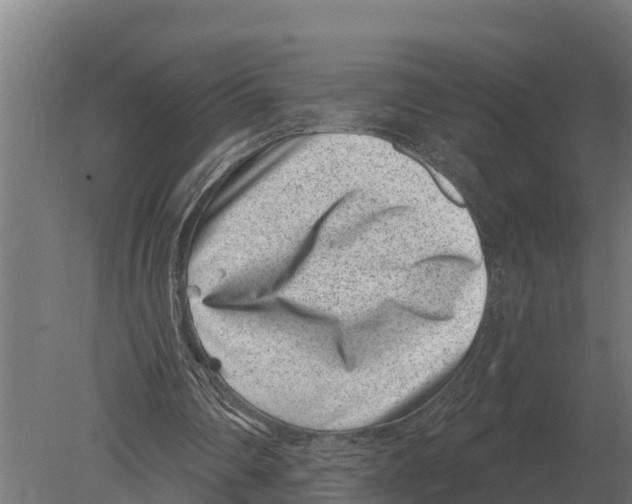 X0000080200290200701051756