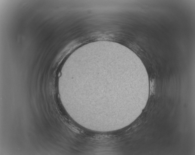 X0000080200291200701051756