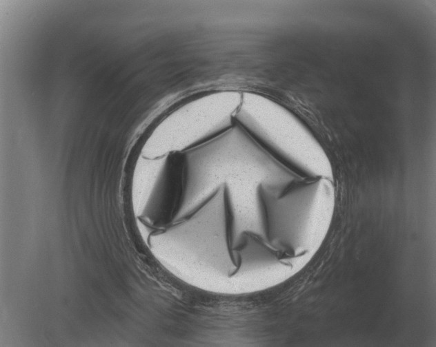 X0000080200292200701051756